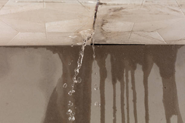 Professional Commercial Water Damage Restoration technician working in Arrington, TN
